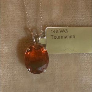 Tourmaline 14k White Gold Gemstone Pendant with a Chain Necklace
